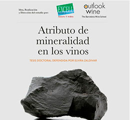 Tesis Doctoral: Atributos de Mineralidad en Vinos