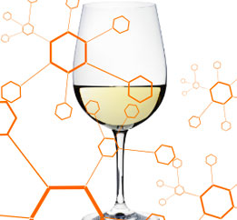 Bases Químicas de Mineralidad en Vinos