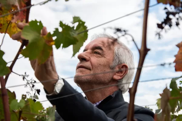 EL “ALCANCE O TRASCENDENCIA”  DE UNA BOTELLA DE VINO ANTES DE ABRIRLA
