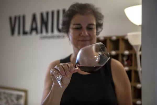 Vino, Cultura y Consumo