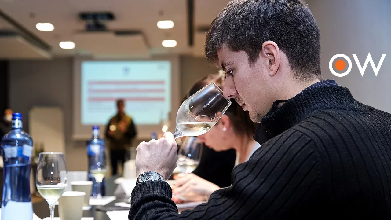 OW Cursos de Cata