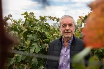 - Texturas & Viscosidad "La estética del Vino" - Presencial - CERRADO